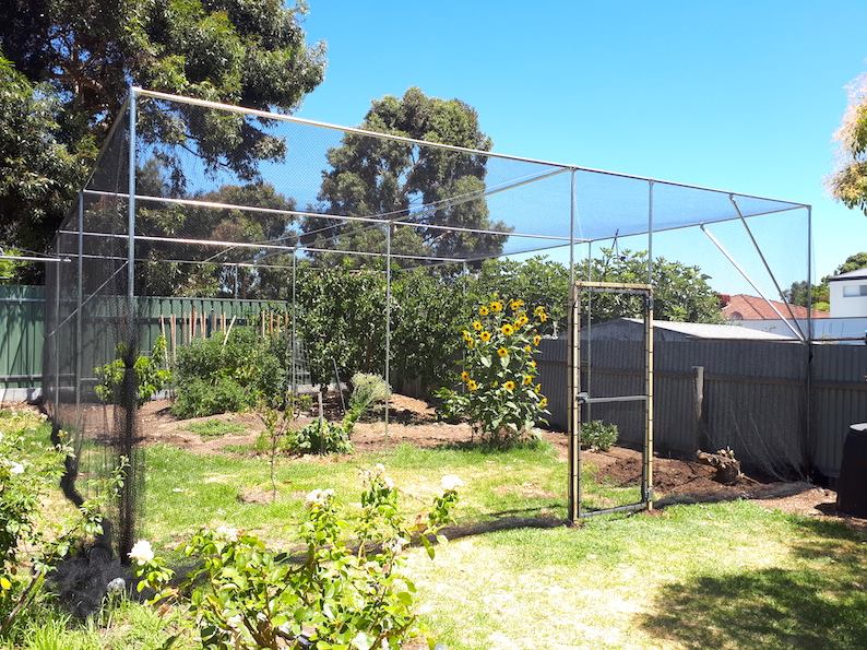 Big fruit tree cage in Adelaide 